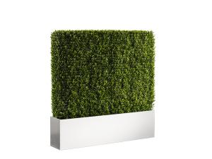 CEAC-050 4' Boxwood Hedge, White Base -- Trade Show and Event Furnishings